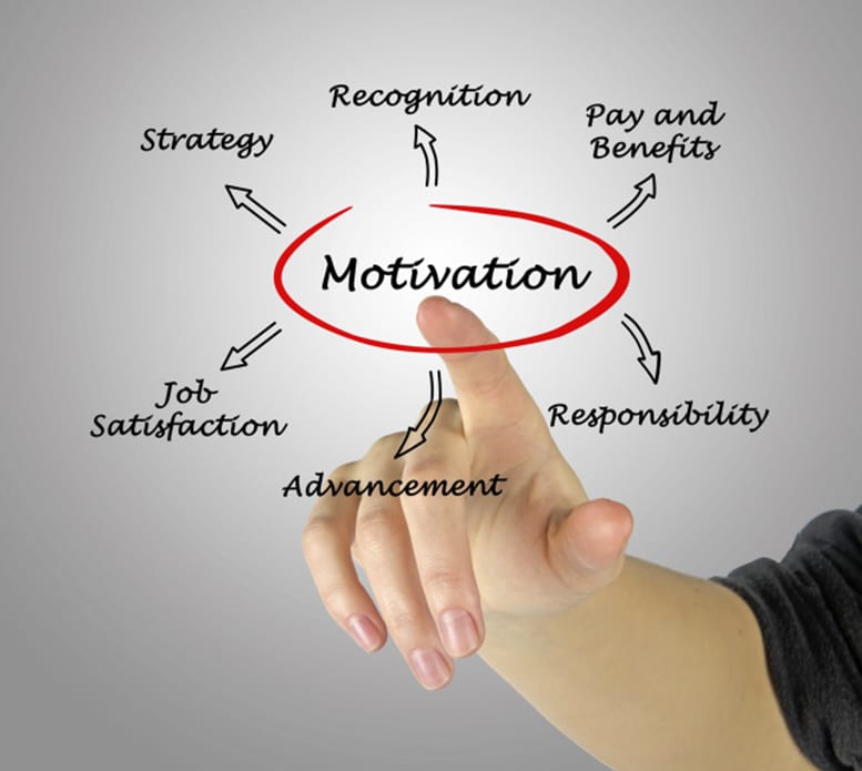 Diagram Of Motivation